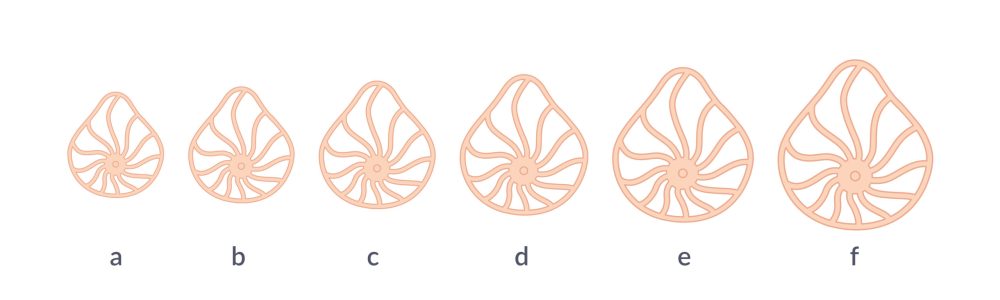 ILLUSTRATIONS NEWTEAM- COULEURS-29